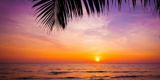 Why are People Happier in the Summer?