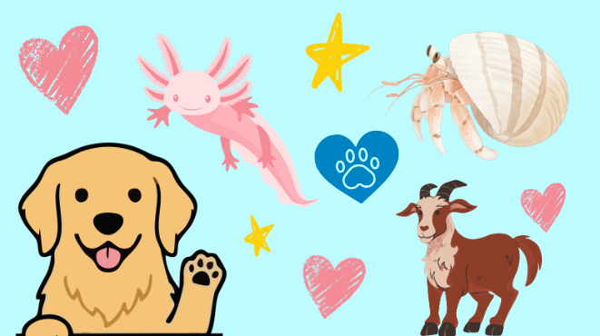 The Pets Of Wredling
